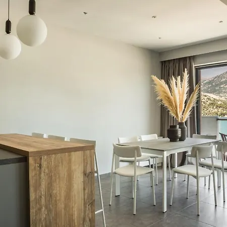 The Twelve Collection